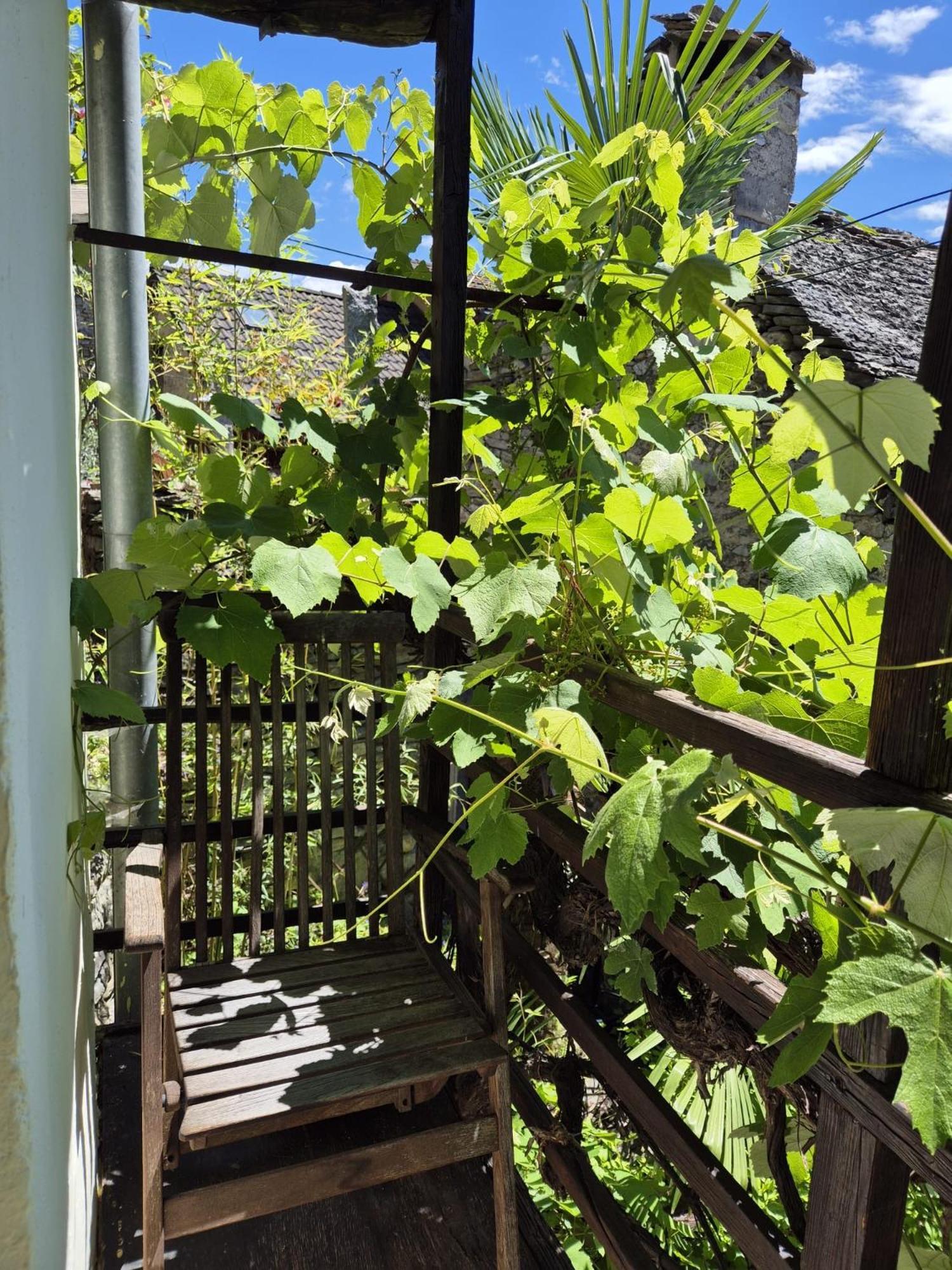 Casa Grillino Daire Locarno Oda fotoğraf
