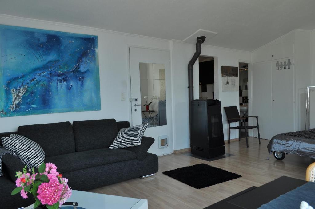 Casa Grillino Daire Locarno Dış mekan fotoğraf